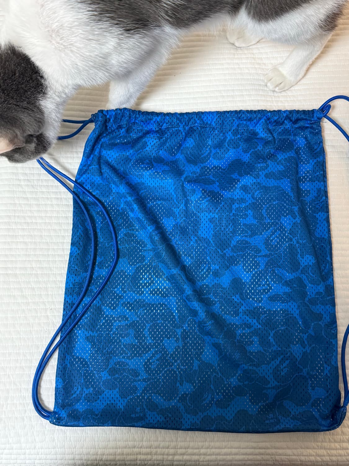 베이프 아디다스 스트링백 상품이미지2