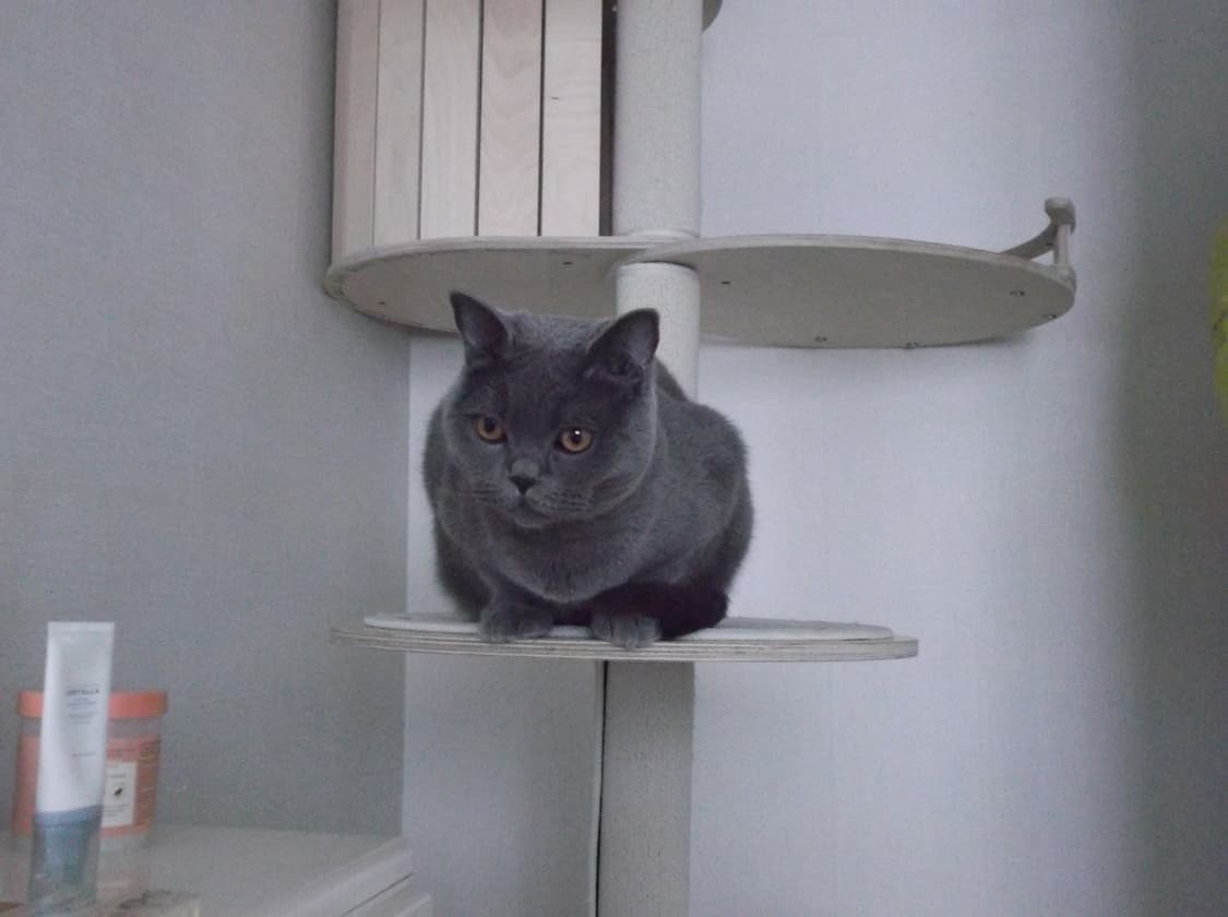 [작례O] 후지필름 FinePix JX550 상품이미지6