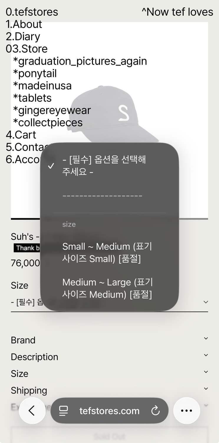 tefstores 테프스토어즈 볼캡 상품이미지2