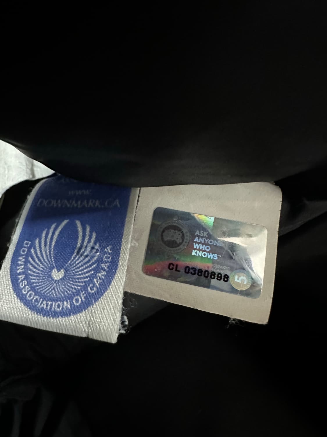 캐나다구스 브라운 여성 패딩 상품이미지9