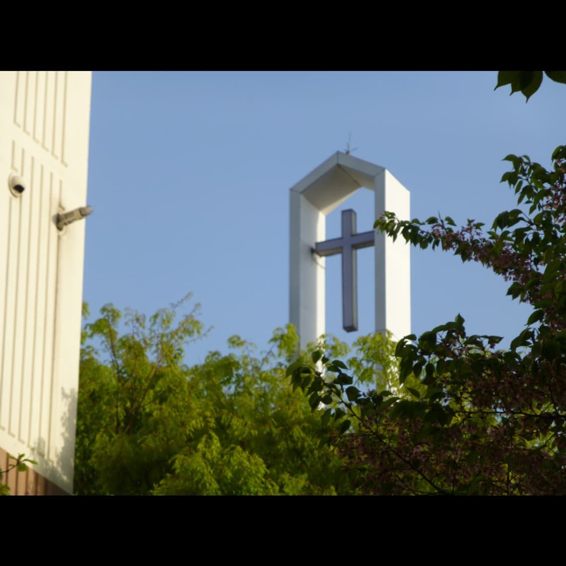 작례⭕️ 파나소닉 루믹스 DMC-TZ30 상품이미지9