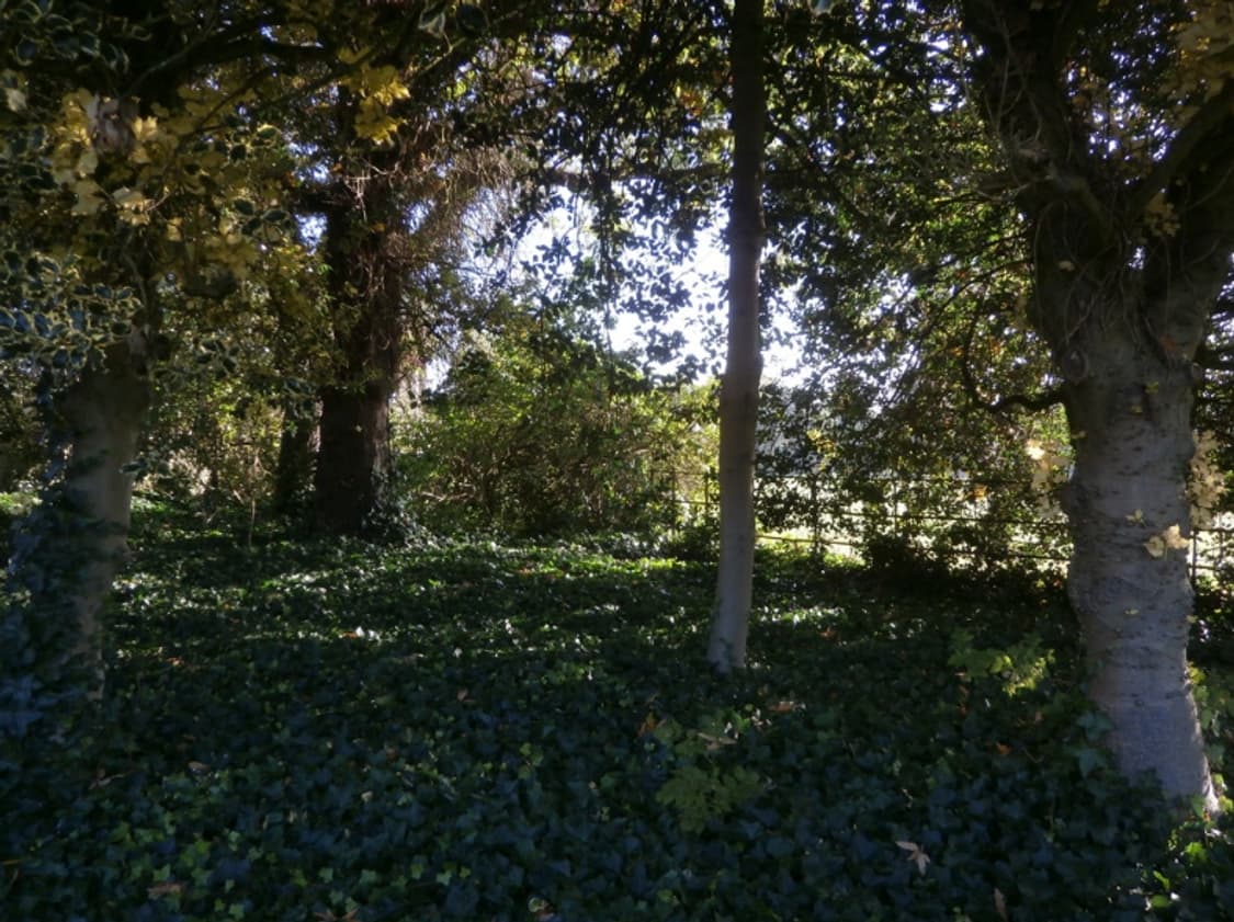 (신품급, 박스셋) 올림푸스 스타일러스 VH-410 상품이미지9