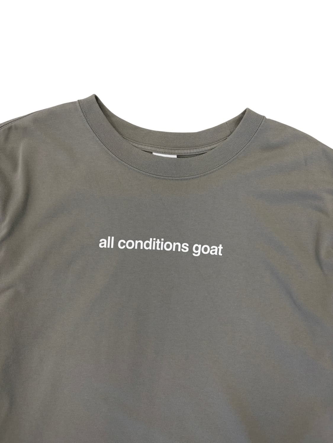 나이키 ACG 고트 반팔 카키 (2XL) 상품이미지2