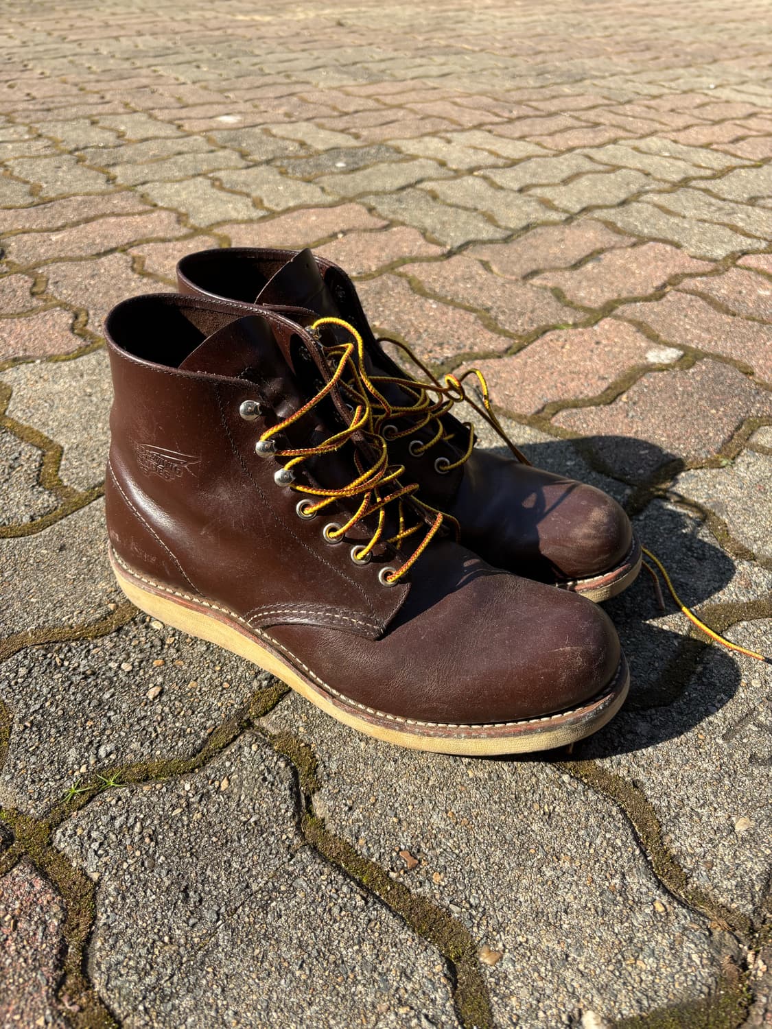 레드윙 8134 급처 상품이미지2