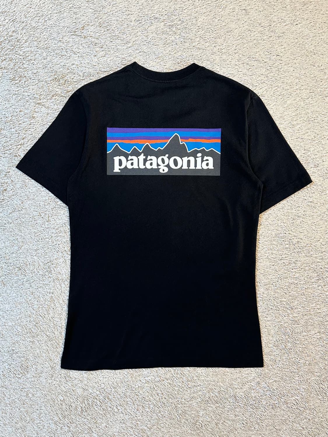 파타고니아 PATAGONIA 백프린팅 반팔 티셔츠 블랙 상품이미지1