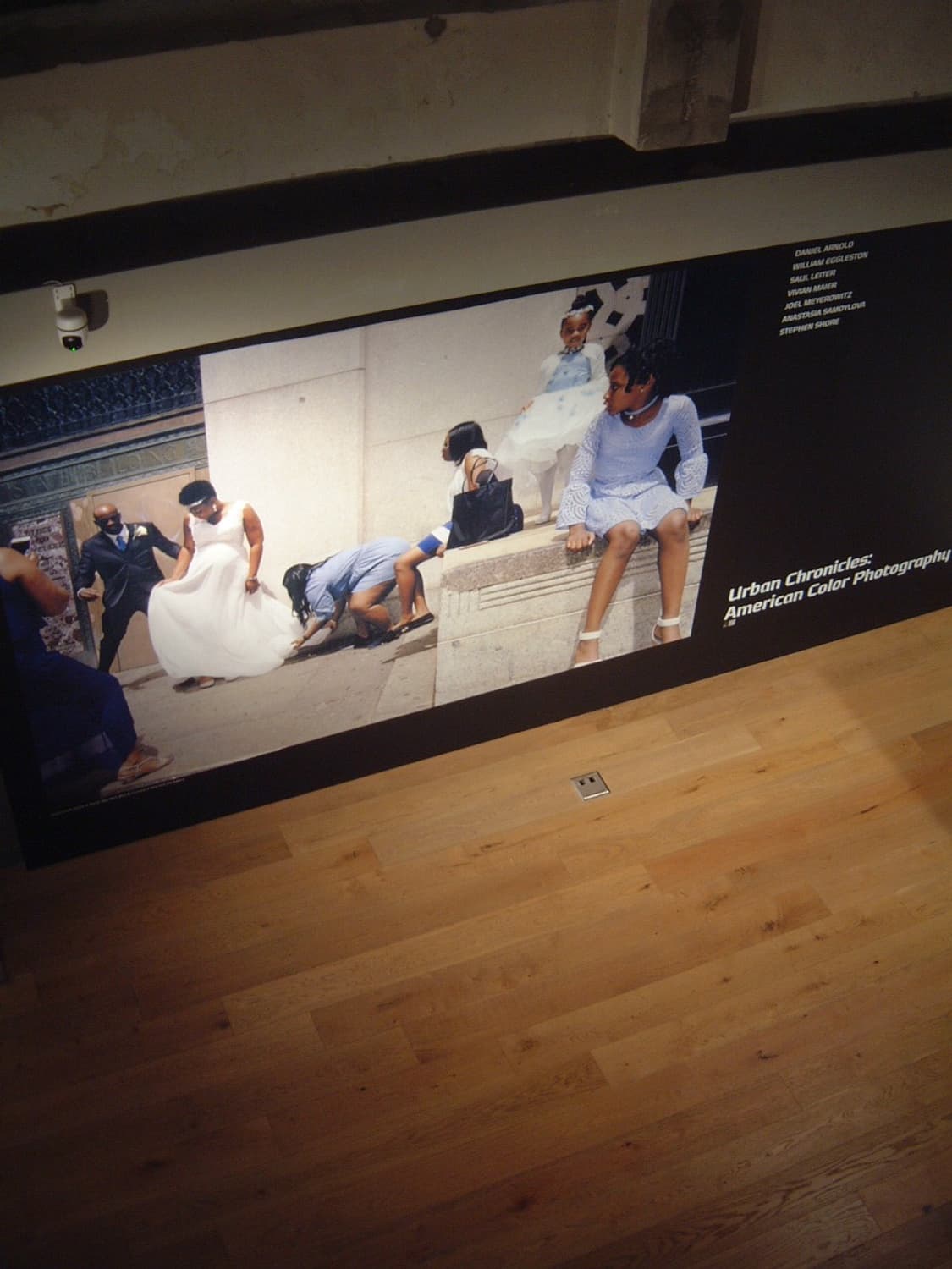 파인픽스 4700z 다음버전 4800z! 상품이미지6