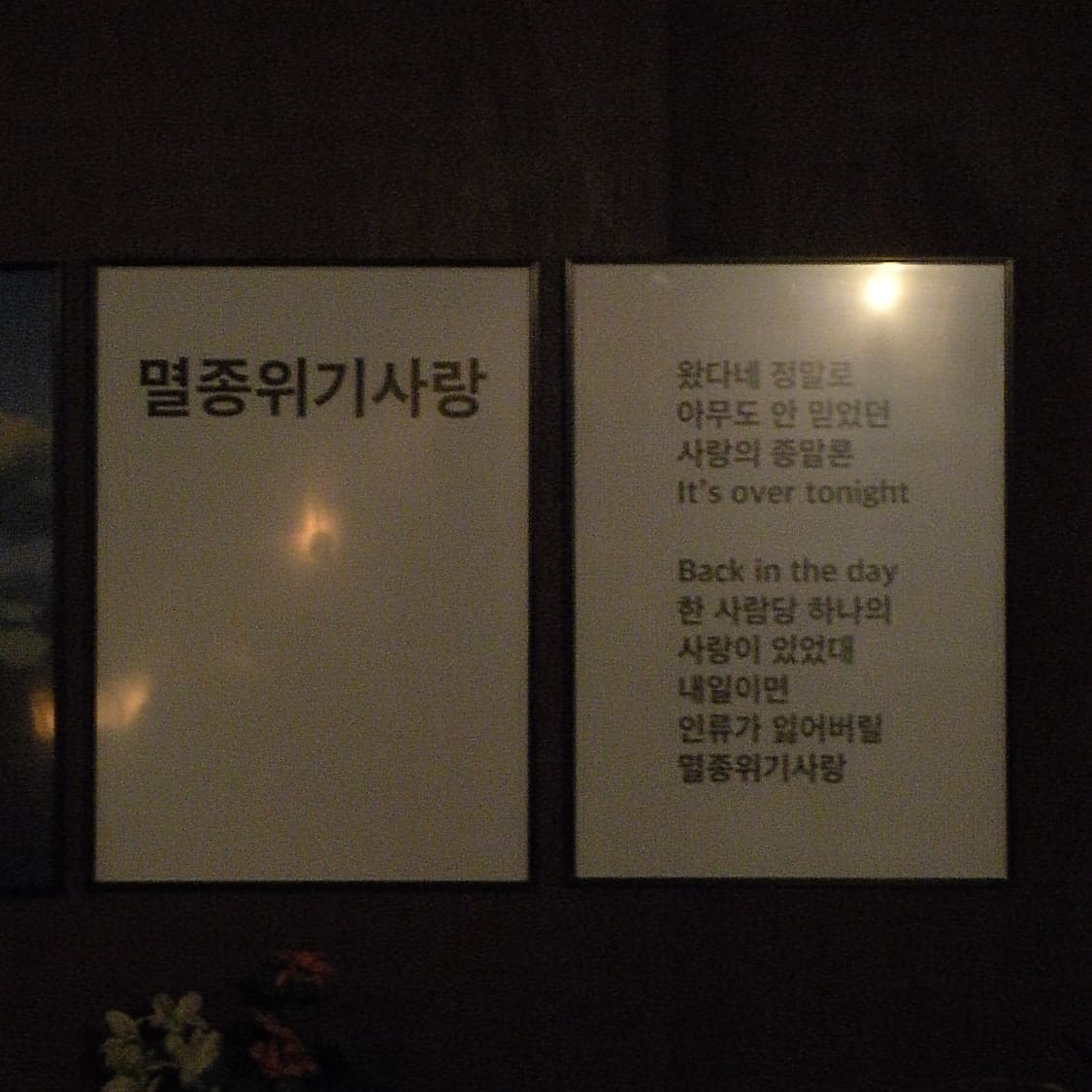 COOLPIX S550(✨A급/🎁풀패키지) 상품이미지10