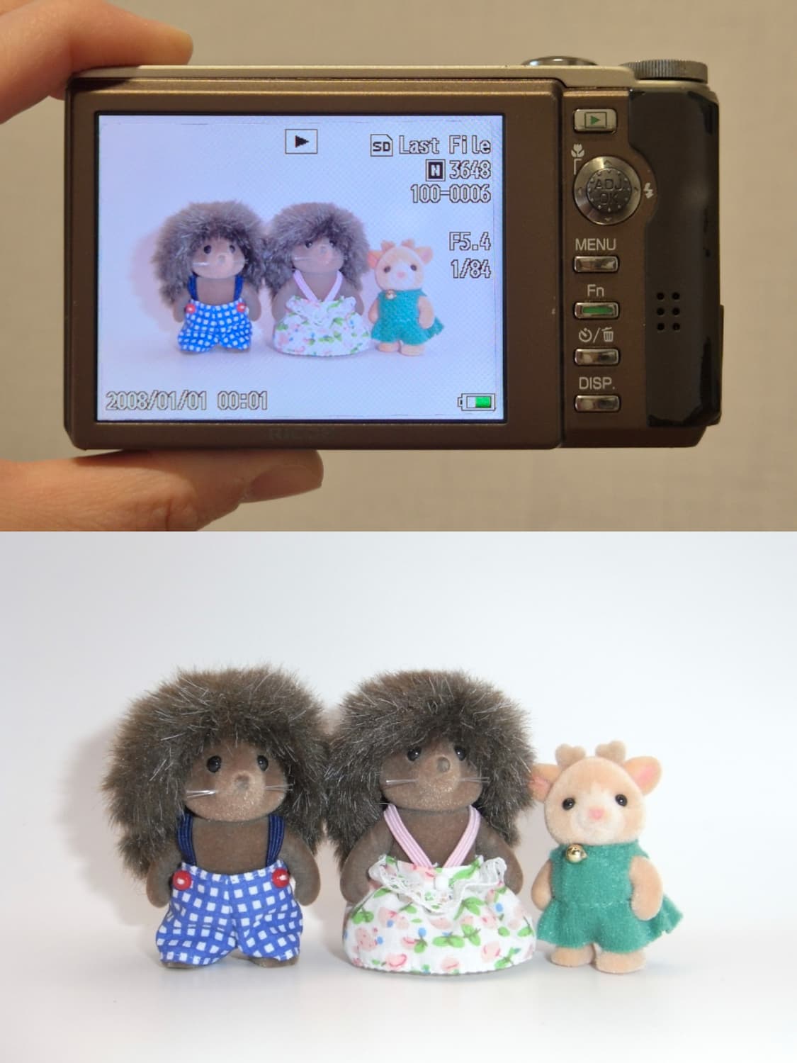 🤎ricoh R10 브라운✨ 감성 스냅에 딱 좋은 디카 상품이미지2