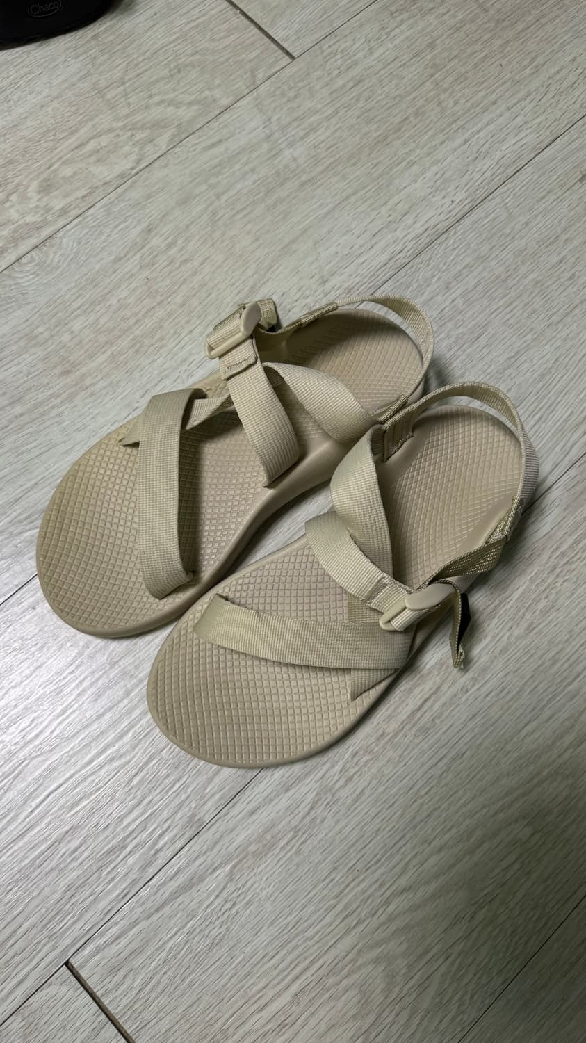 차코 z1 베이지 270 판매 상품이미지1