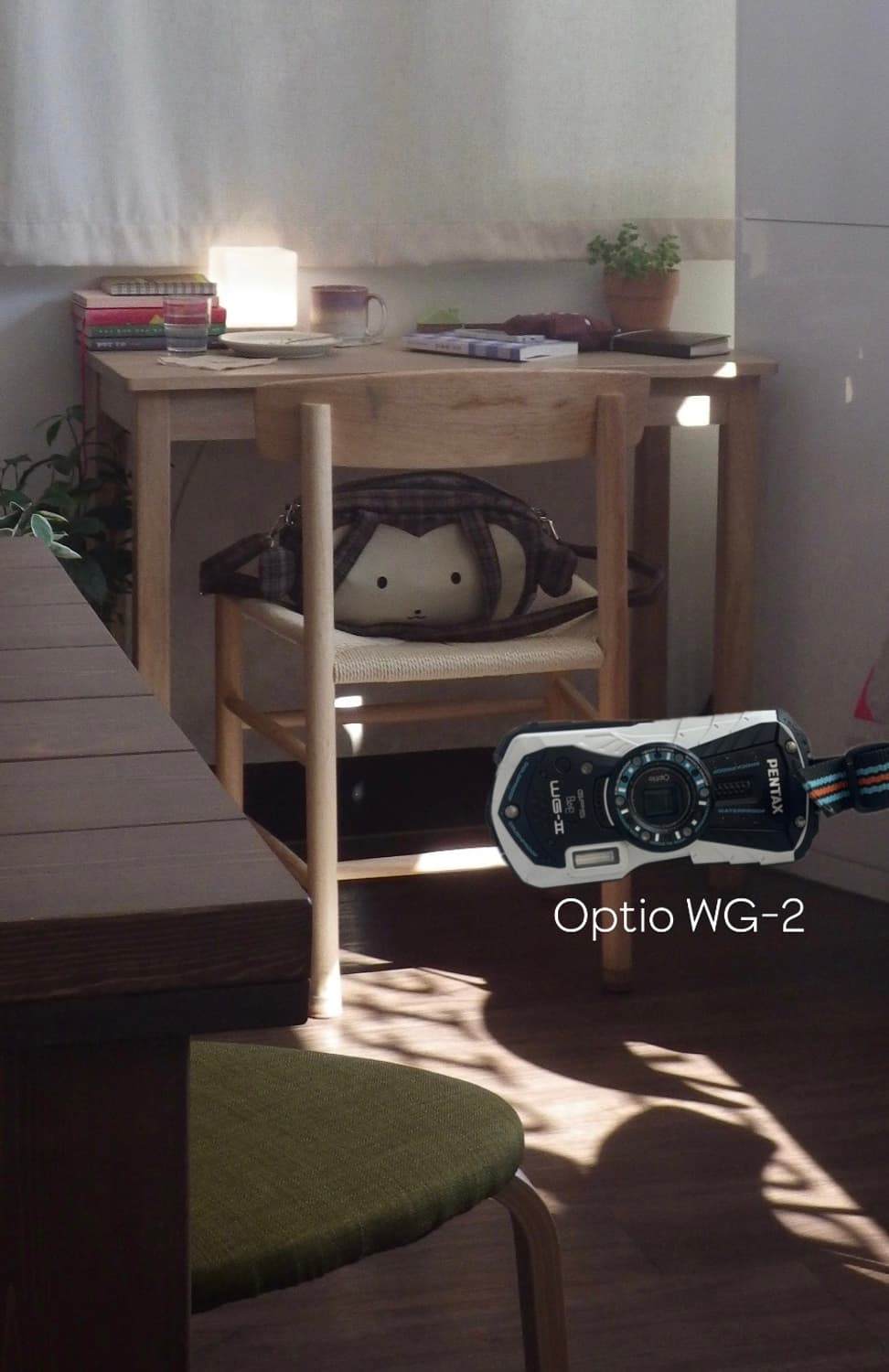 펜탁스 optio WG-2 (작례o) 상품이미지1