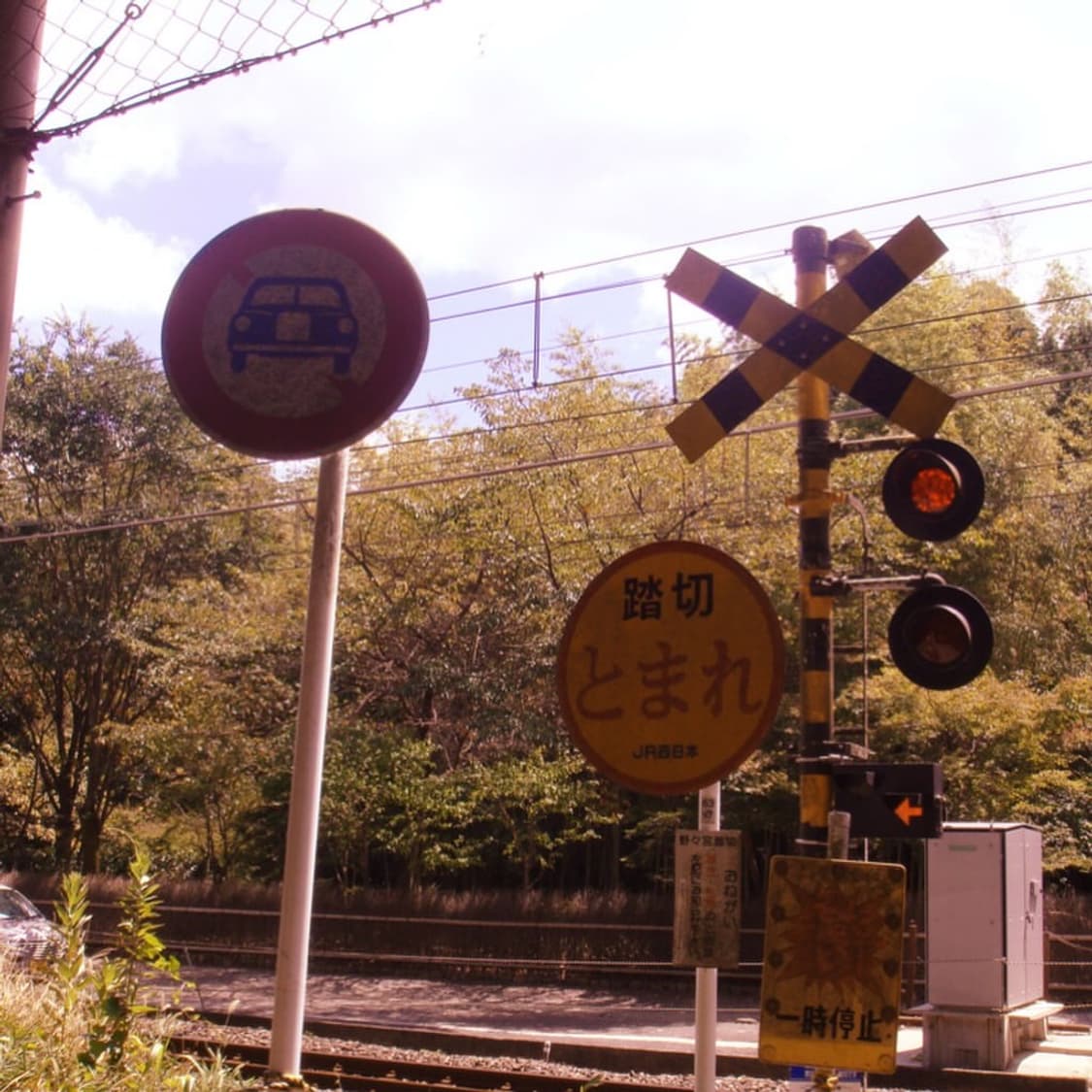 소니 사이버샷 Sony Cyber-shot DSC-T2 화이트 상품이미지3