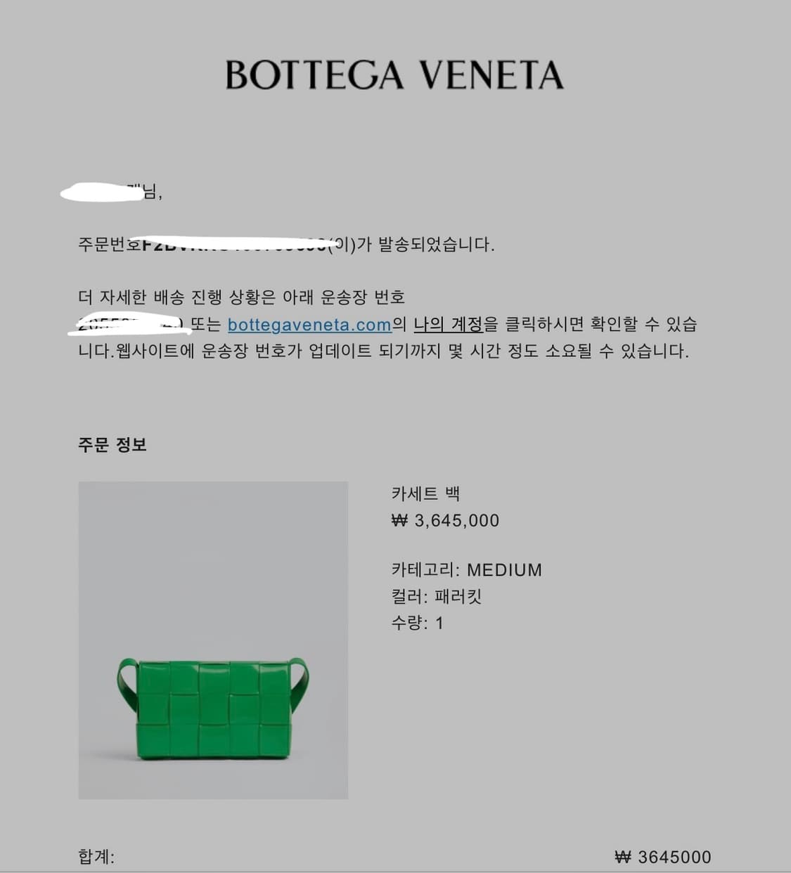 보테가베네타 카세트백 그린 medium 상품이미지10