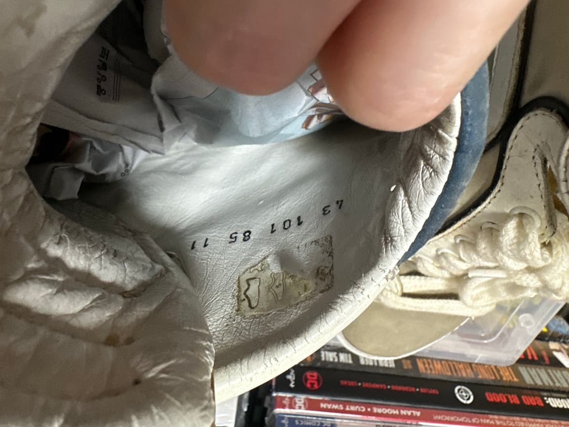 피에르하디 콜로라마 상품이미지9