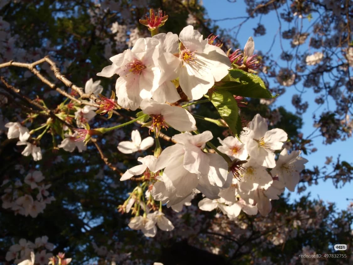 올림푸스 E-420 상품이미지5