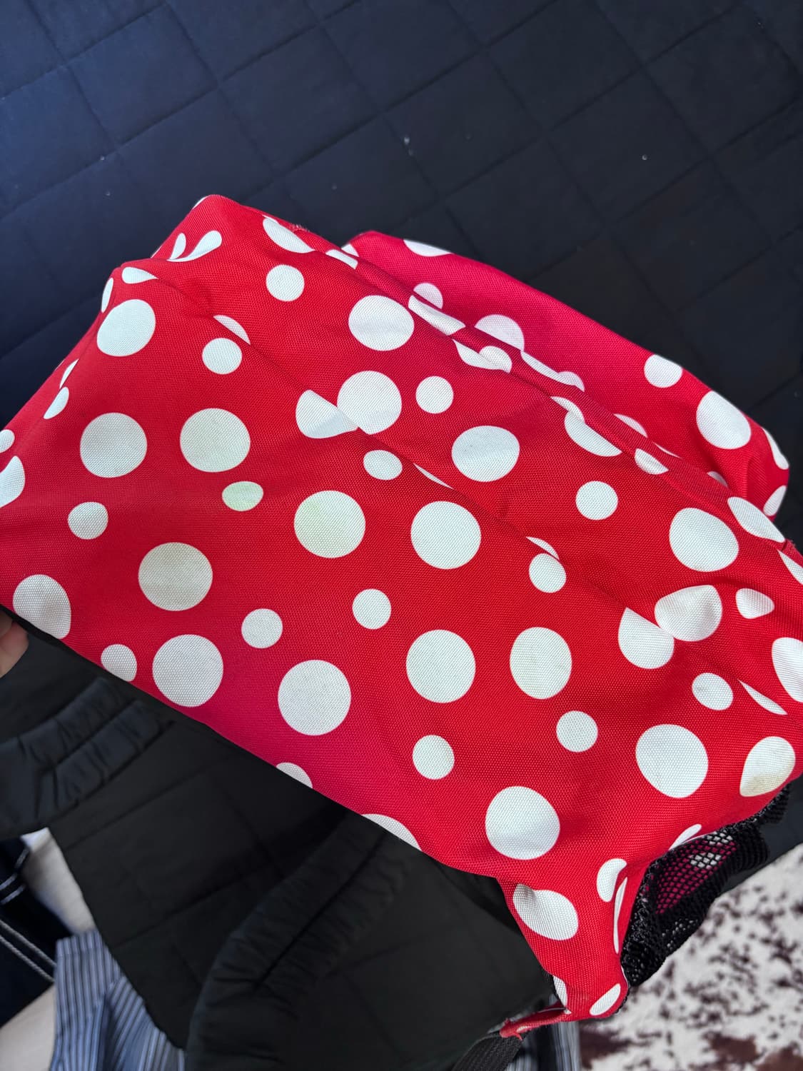 잔스포츠 도트 백팩 레드 상품이미지5