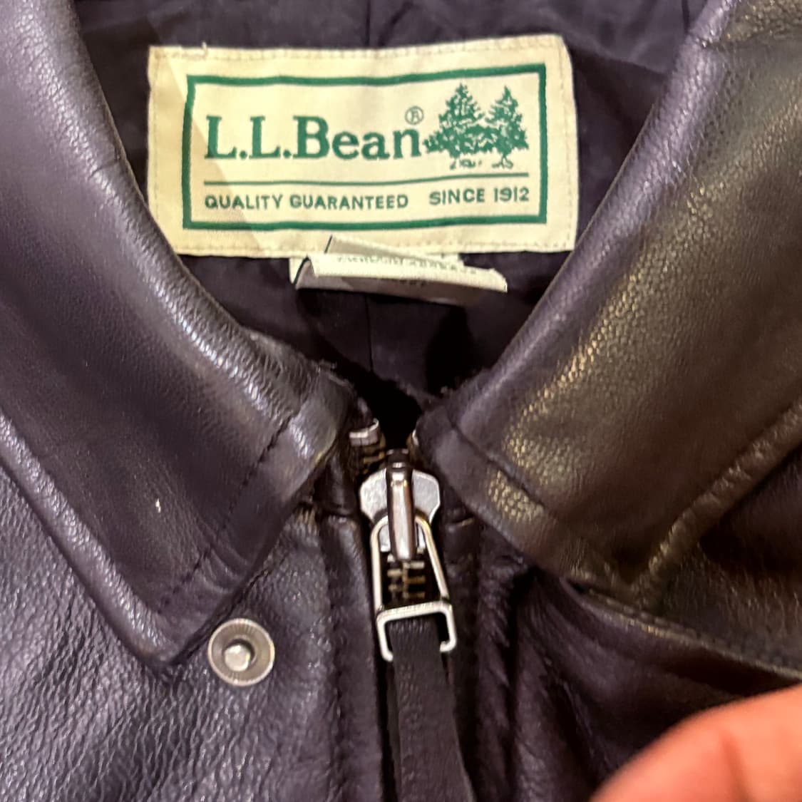[L] LL BEAN 엘엘빈 A2 고트스킨 레더 자켓 상품이미지5
