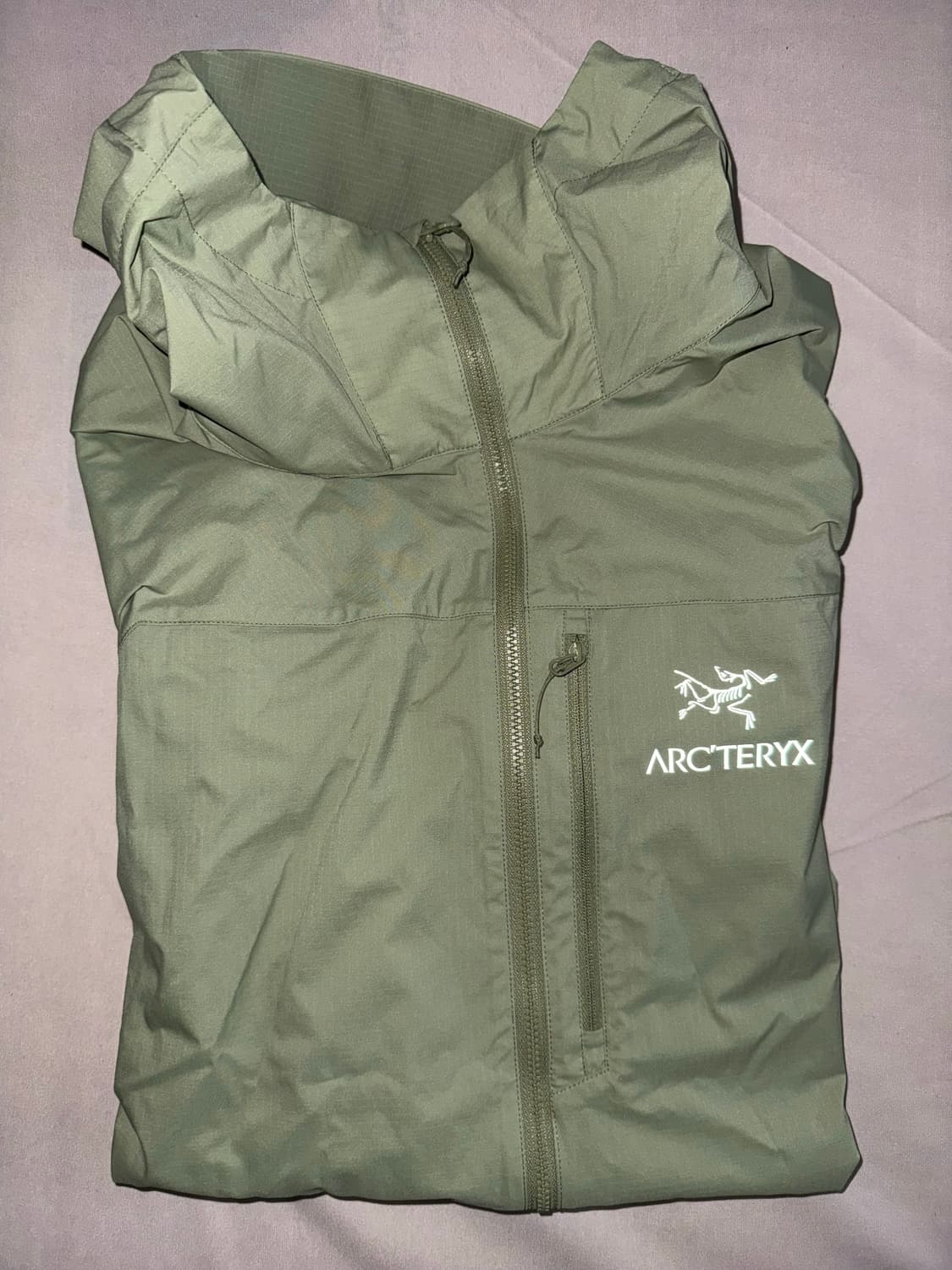 [L] 아크테릭스 스쿼미시 후디 클로리스 상품이미지1