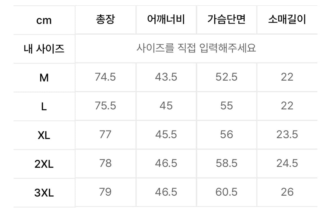 [새상품, 정품] 푸마 AC밀란 홈 어센틱 라파엘 레앙 L 상품이미지3