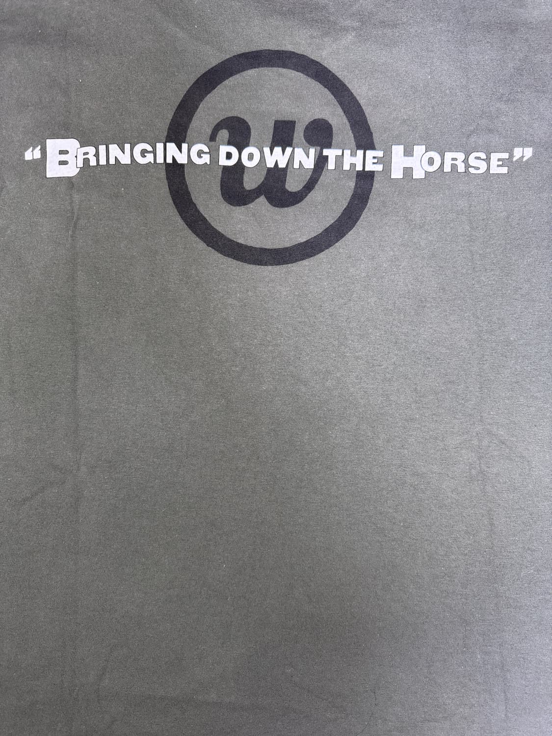빈티지 00s 월플라워스 THE WALLFLOWERS 밴드티 XL 상품이미지5