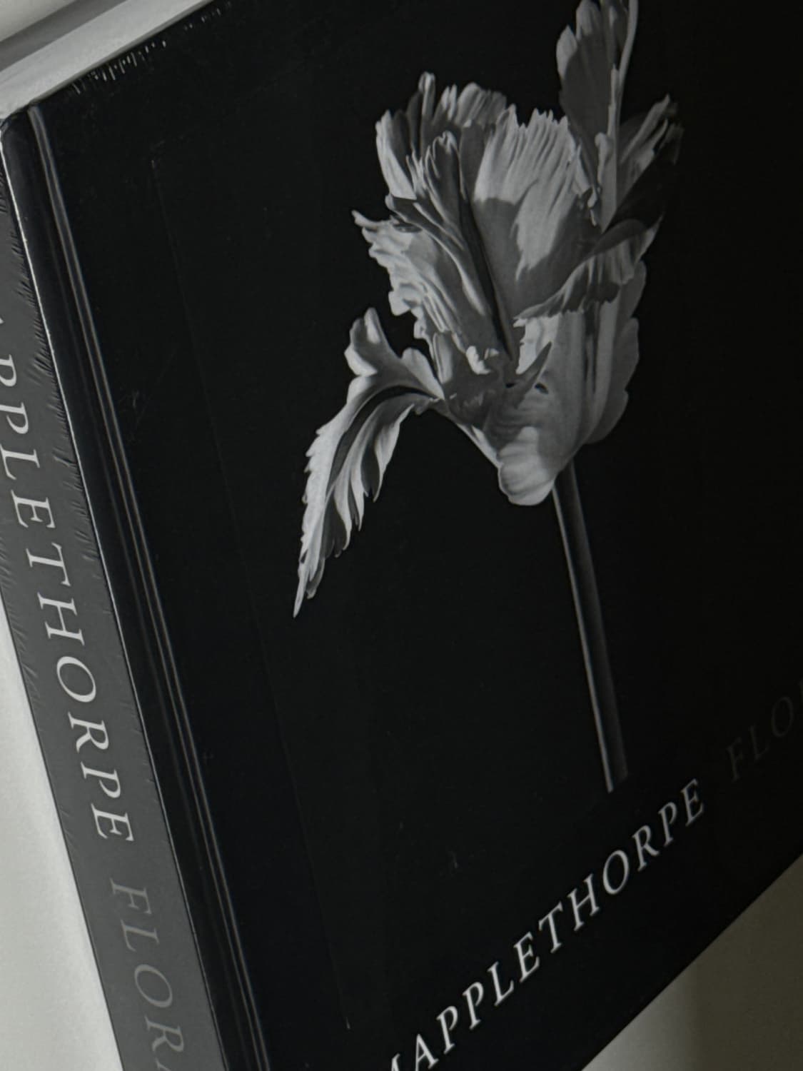 미개봉 / MAPPLETHORPE 로버트 메이플소프 플로라 사진집 상품이미지1