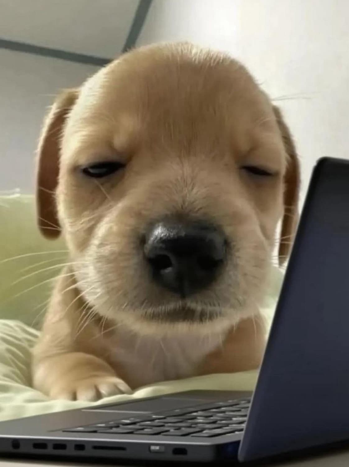 구해요) 아이폰7 실버 128기가 상품이미지1