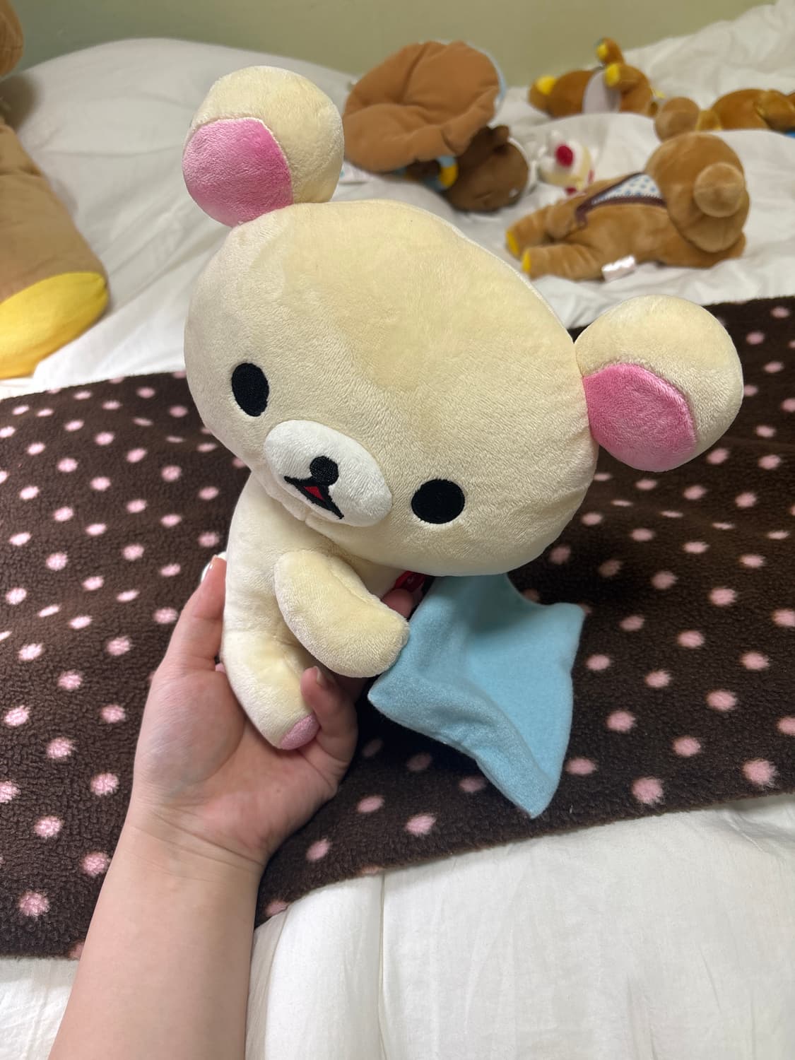 산엑스 이불 덮어주는 코리락쿠마 상품이미지2