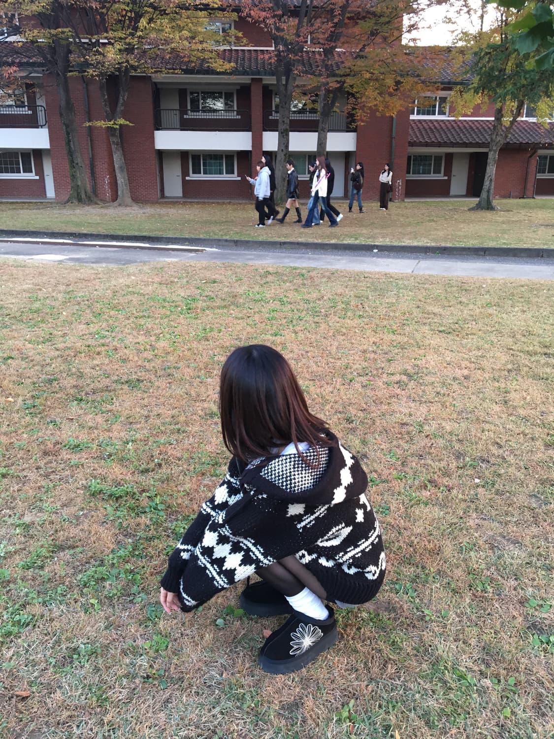 open yy 자카드 니트 상품이미지2