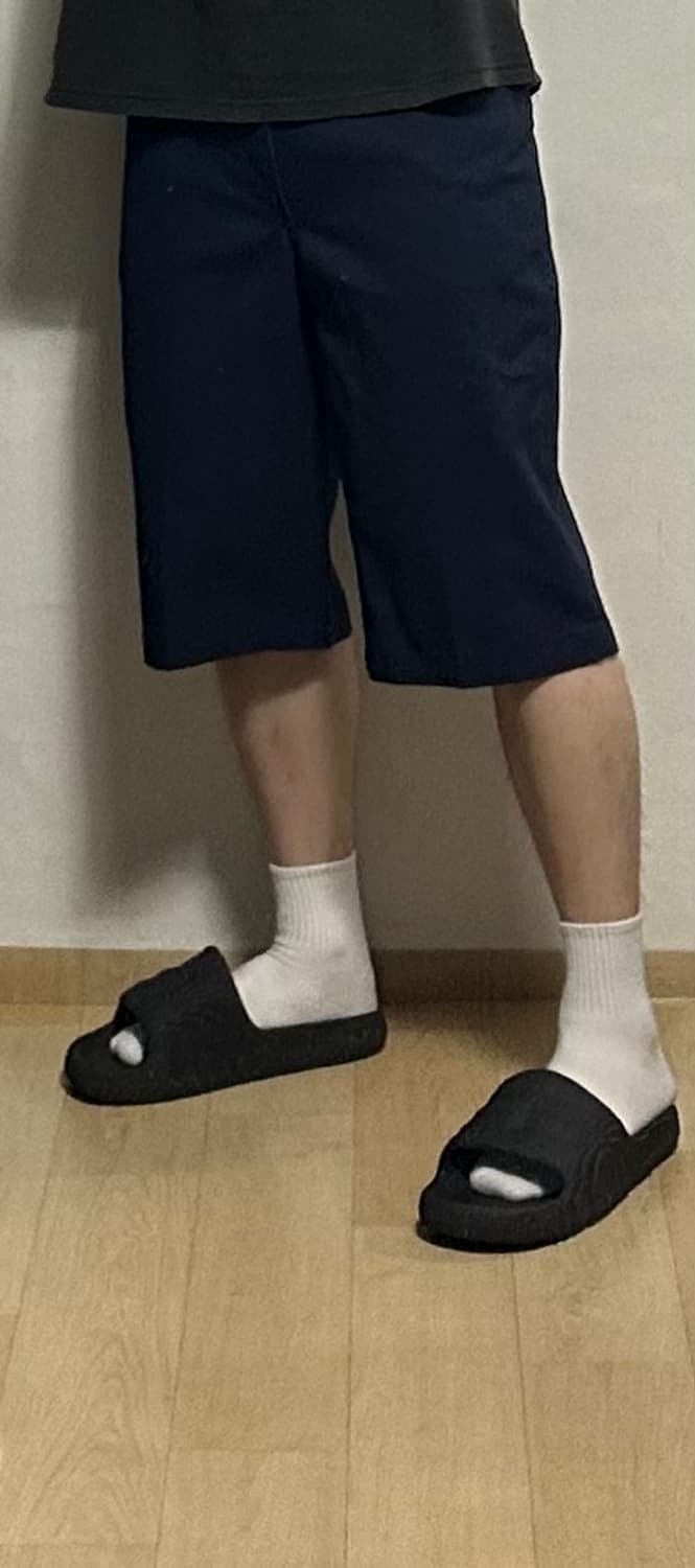 벤데이비스 버뮤다 팬츠 상품이미지4