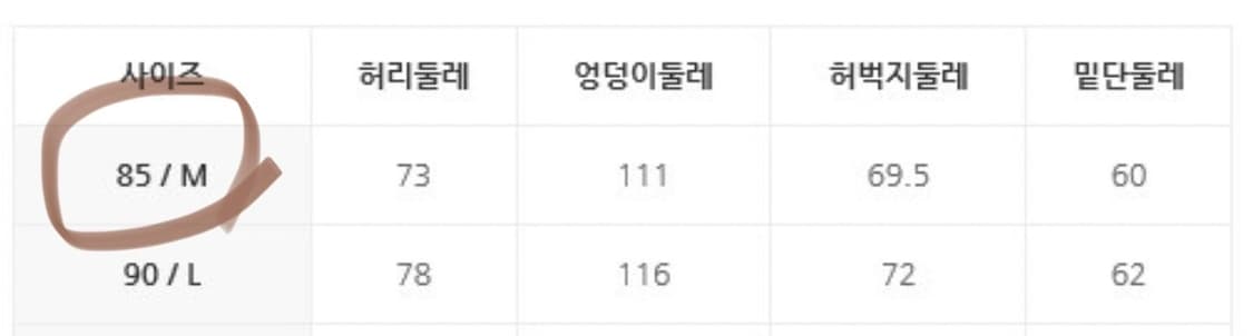 데상트 발란사 콜라보 숏팬츠 숏츠 descente balansa 상품이미지4