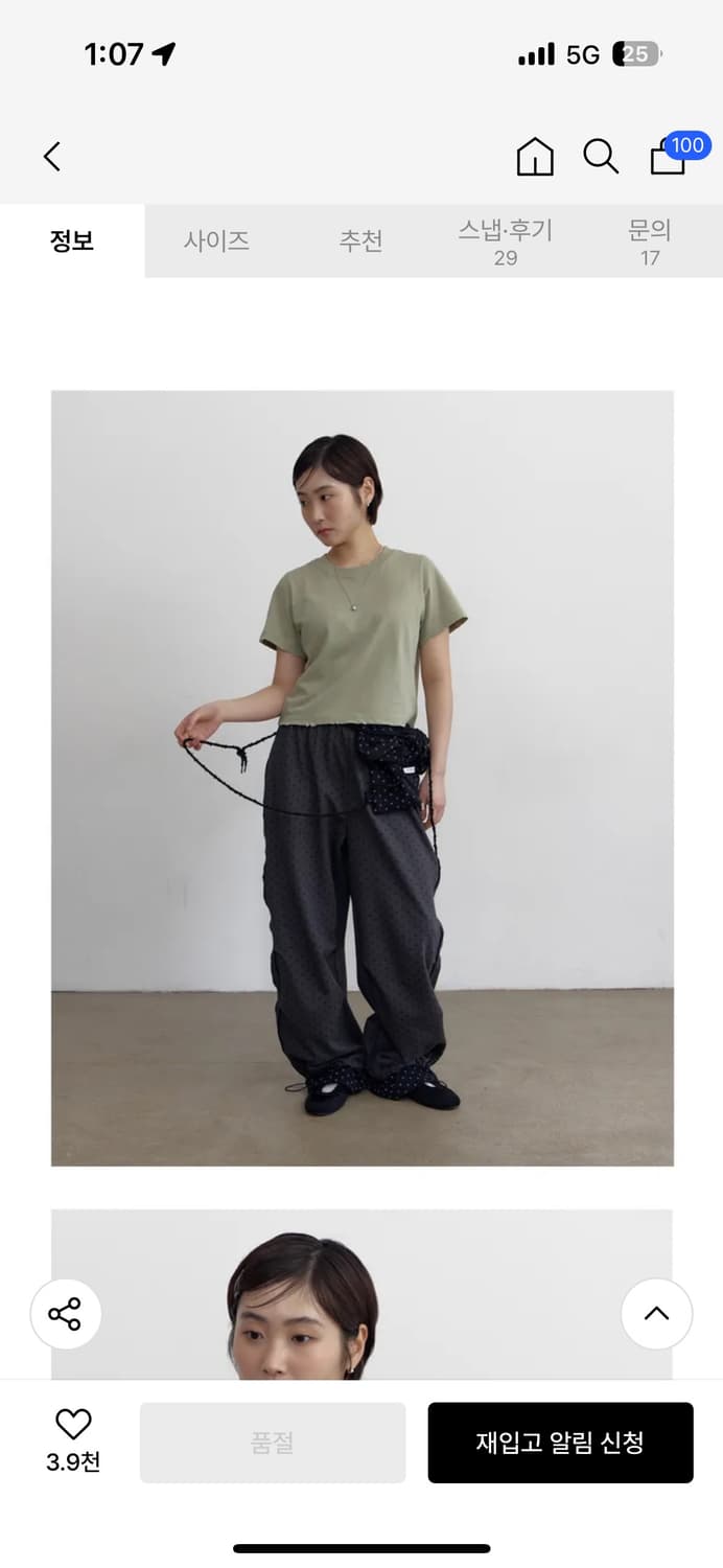 패러킷 멀티 도트 상품이미지3