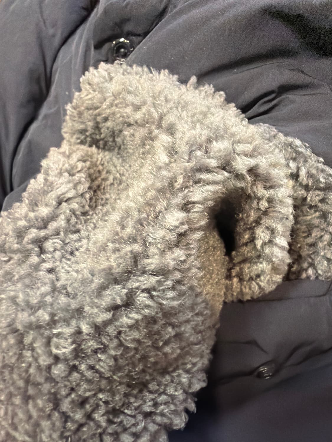 토마스 모어 네이비 시티 숏 다운 재킷 상품이미지8