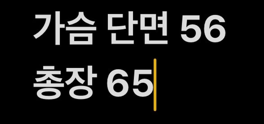 [정품/XL] 폴로 랄프로렌 빅포니 패딩 네이비 b14 상품이미지9