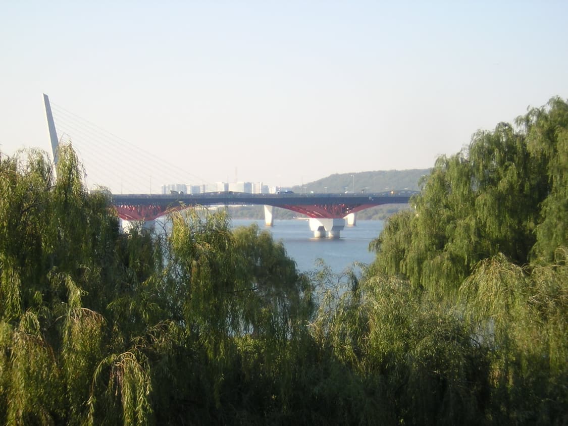 [작례O] 풀박스 S급 희귀 핑크 쿨픽스2100 사쿠라디카 빈티지디카 상품이미지7