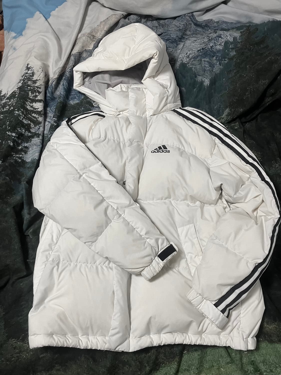 아디다스 흰색 숏패딩 (L) 상품이미지1