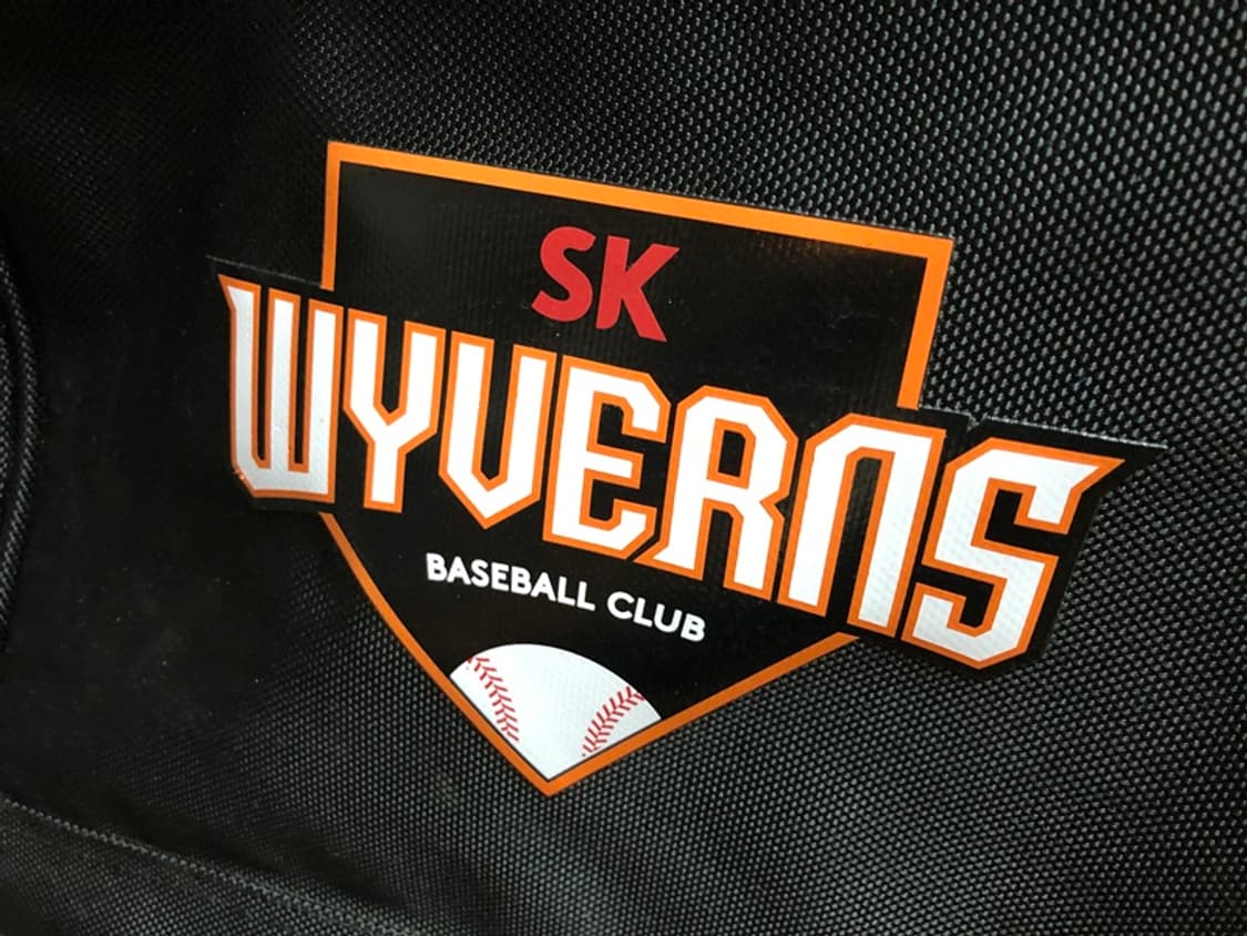 KBO 다이나핏 SK와이번스 선수지급 더플백/대형원정가방 상품이미지5