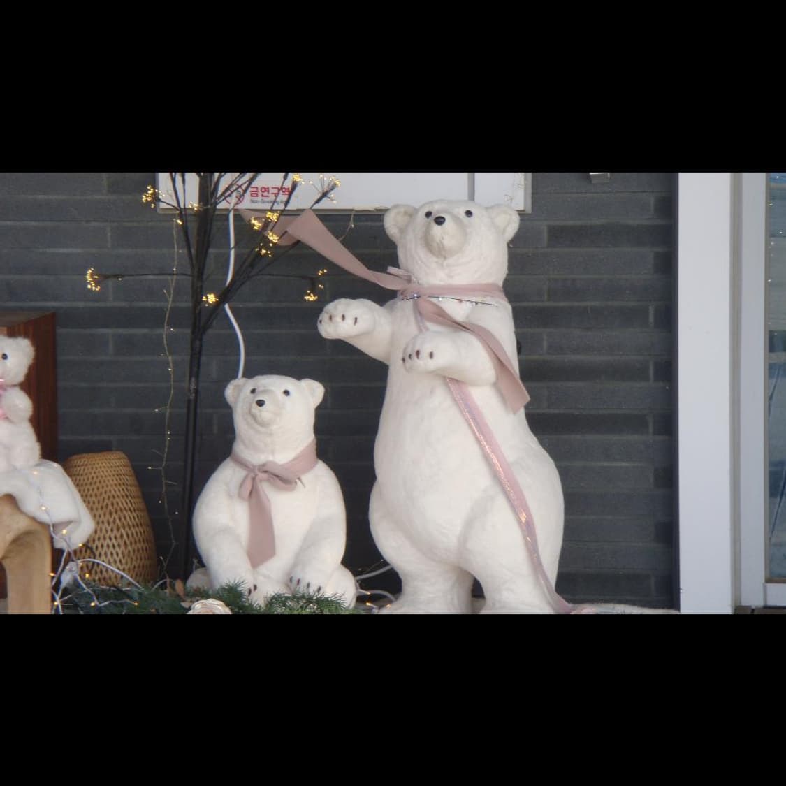 작례⭕️ 소니 사이버샷 DSC-T77  상품이미지8