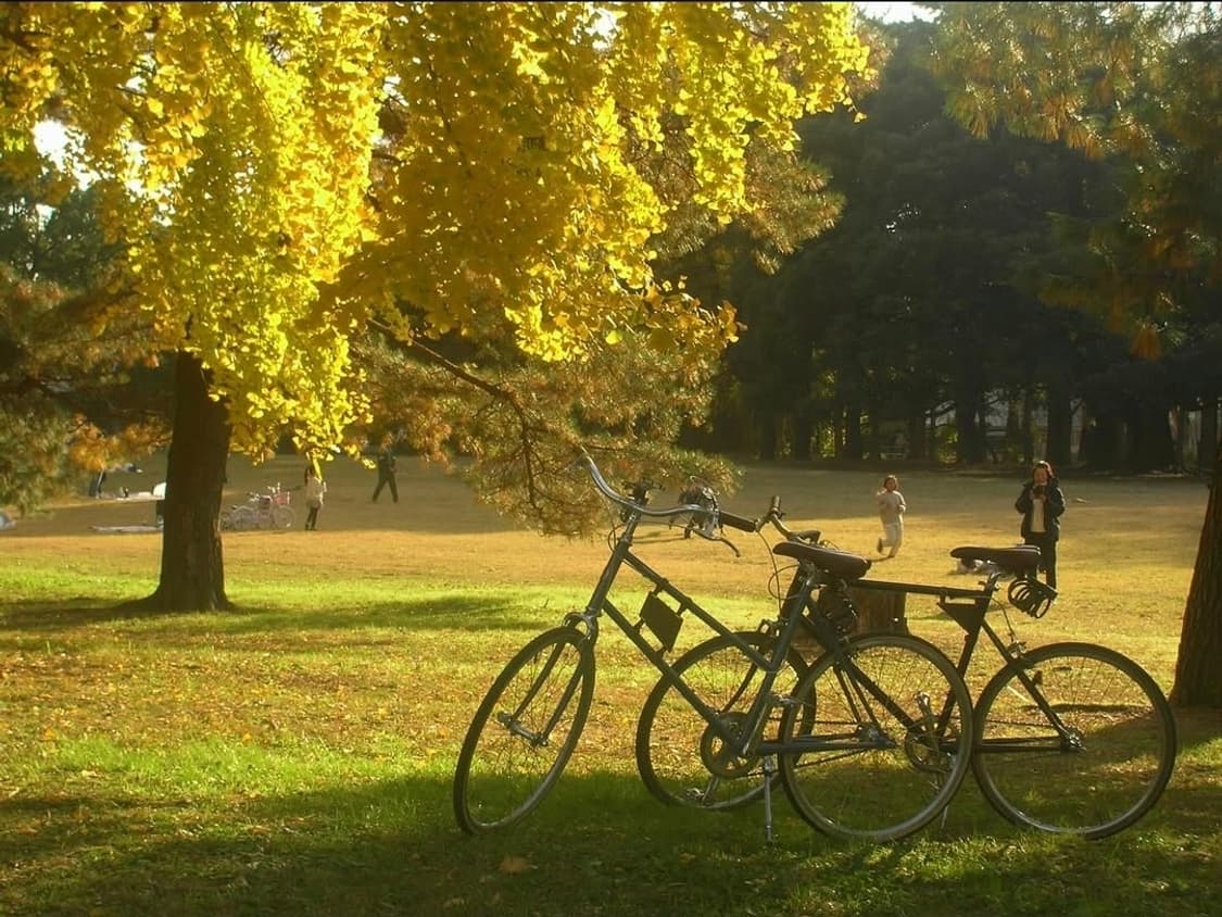 미니똑딱이🌟 니콘 쿨픽스 5600 🍒 상큼한 감성샷 미니디카✨ 상품이미지8