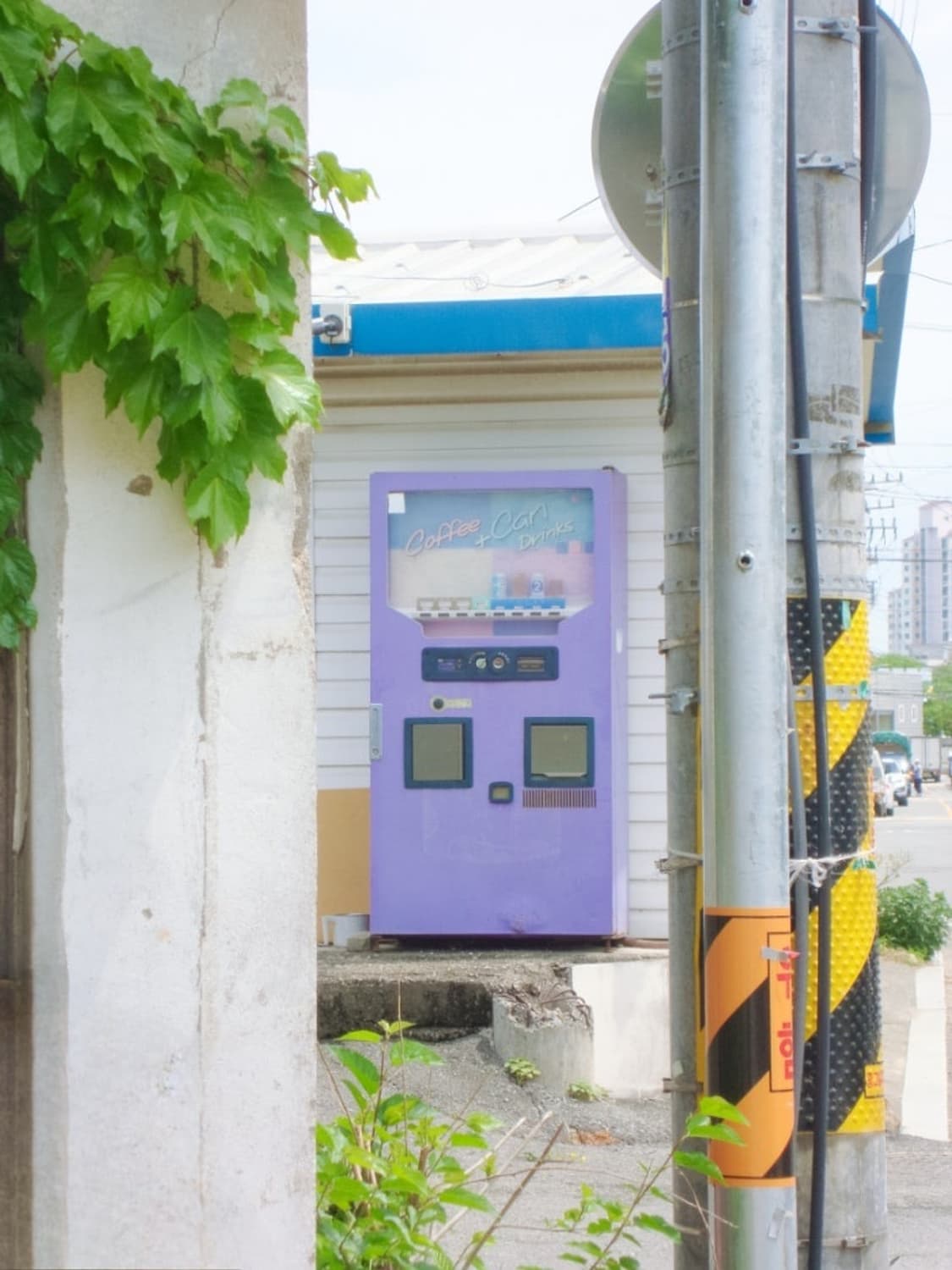 뽀용색감★컴팩트디자인★소니 사이버샷w220 초미품 풀구성 상품이미지8