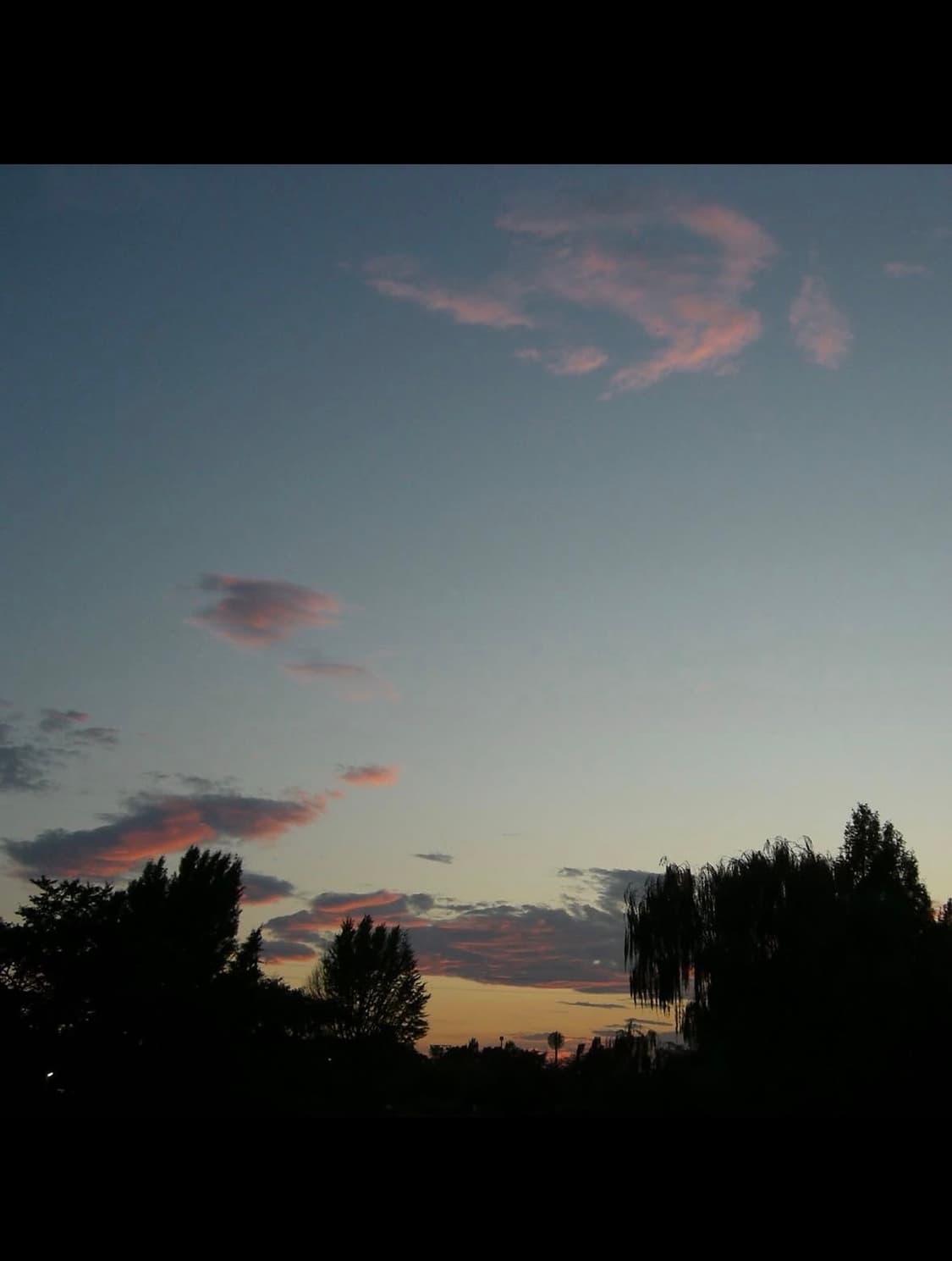 카시오 엑실림 ex z600 디지털카메라 상품이미지9