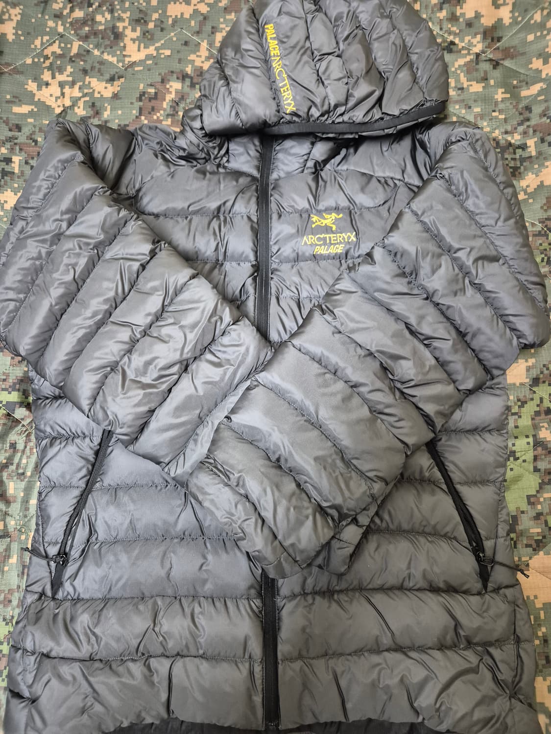 M) 아크테릭스 팔라스 세륨 lt 후디 상품이미지8