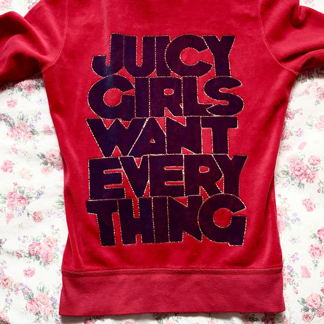 쥬시꾸뛰르 벨벳 후드집업 트레이닝자켓 상품이미지2