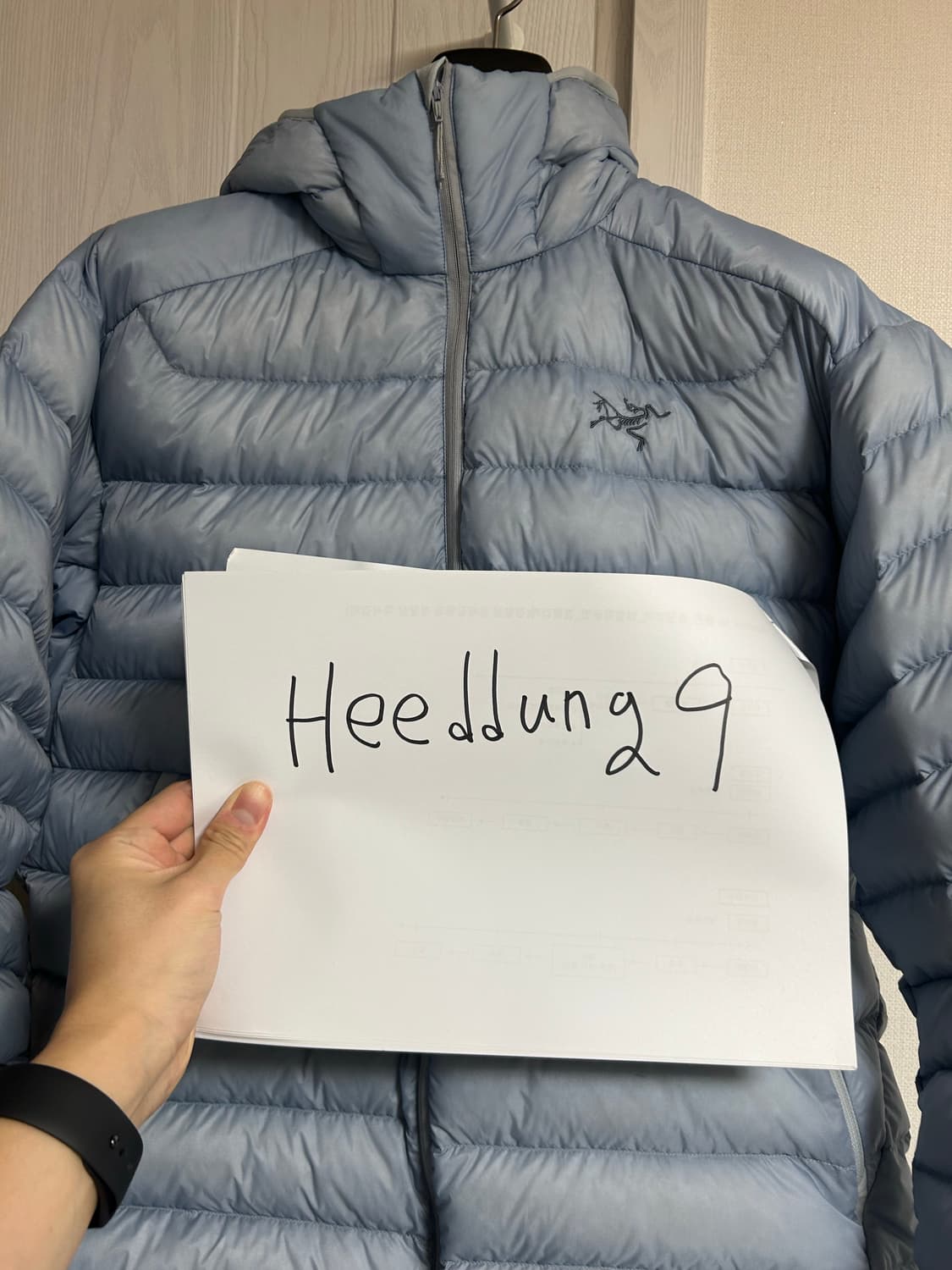 아크테릭스 세륨 후디 루센트 L 상품이미지2