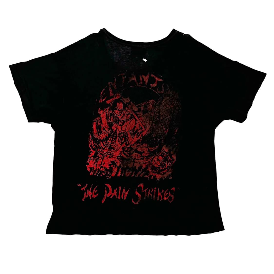 90s sick of it all "the pain strikes" t 상품이미지9