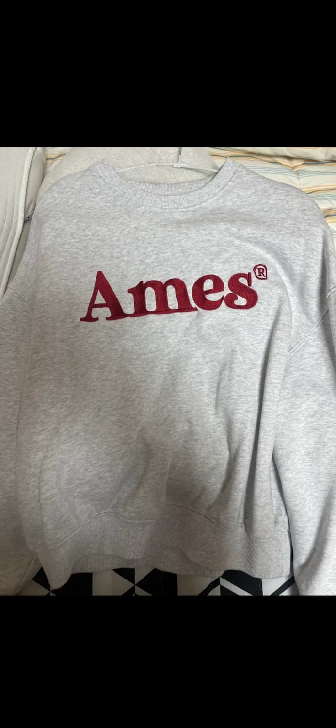 아메스 월드와이드 베이직 로고 맨투맨 라이트그레이 S 상품이미지3