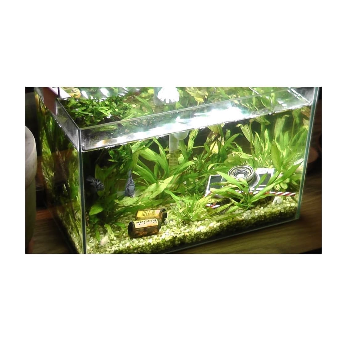 파나소닉 Panasonic HC-V300M 핑크 빈티지캠코더 상품이미지8