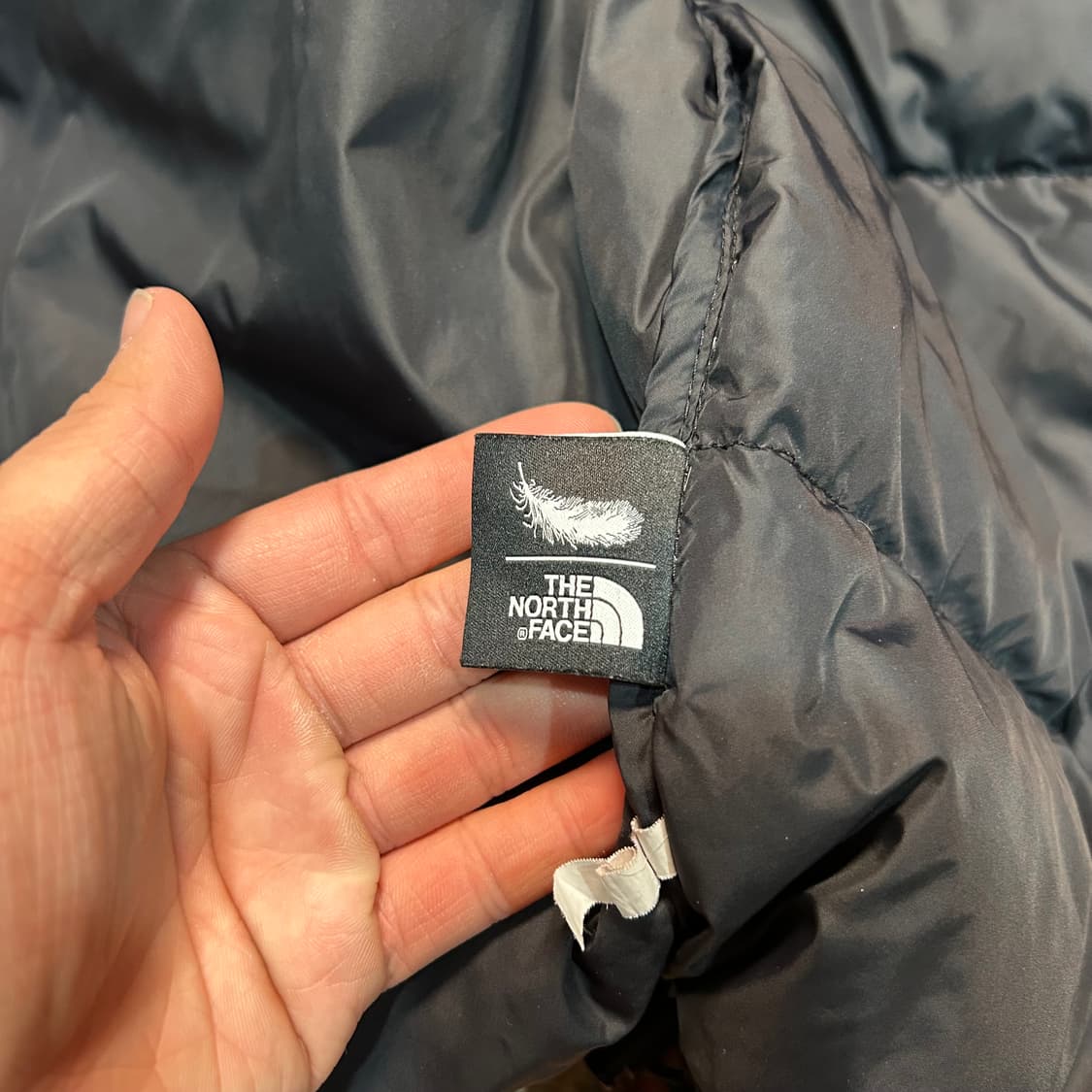 [M] 노스페이스 크롭 눕시 구스다운 패딩 상품이미지8