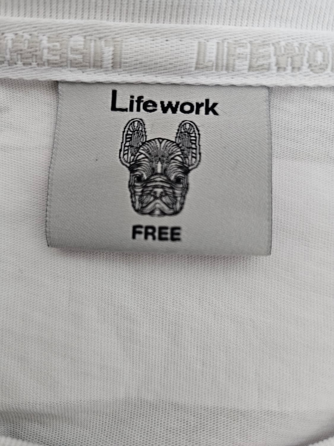 라이프워크 여성 크롭 반팔티셔츠 F 상품이미지3