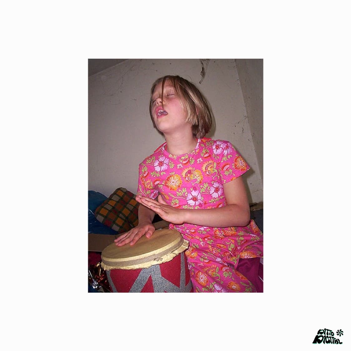 Kodak Easyshare C300디카 상품이미지6