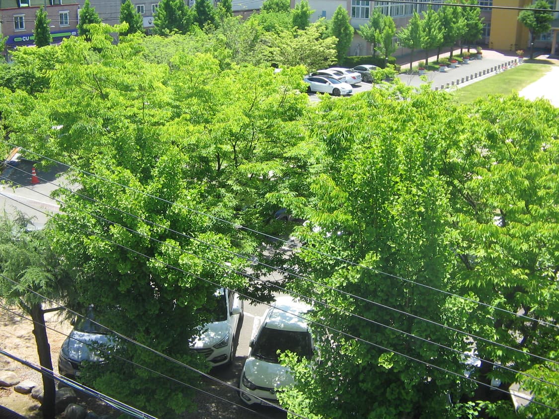 캐논 PowerShot A400 실버 디카 상품이미지5