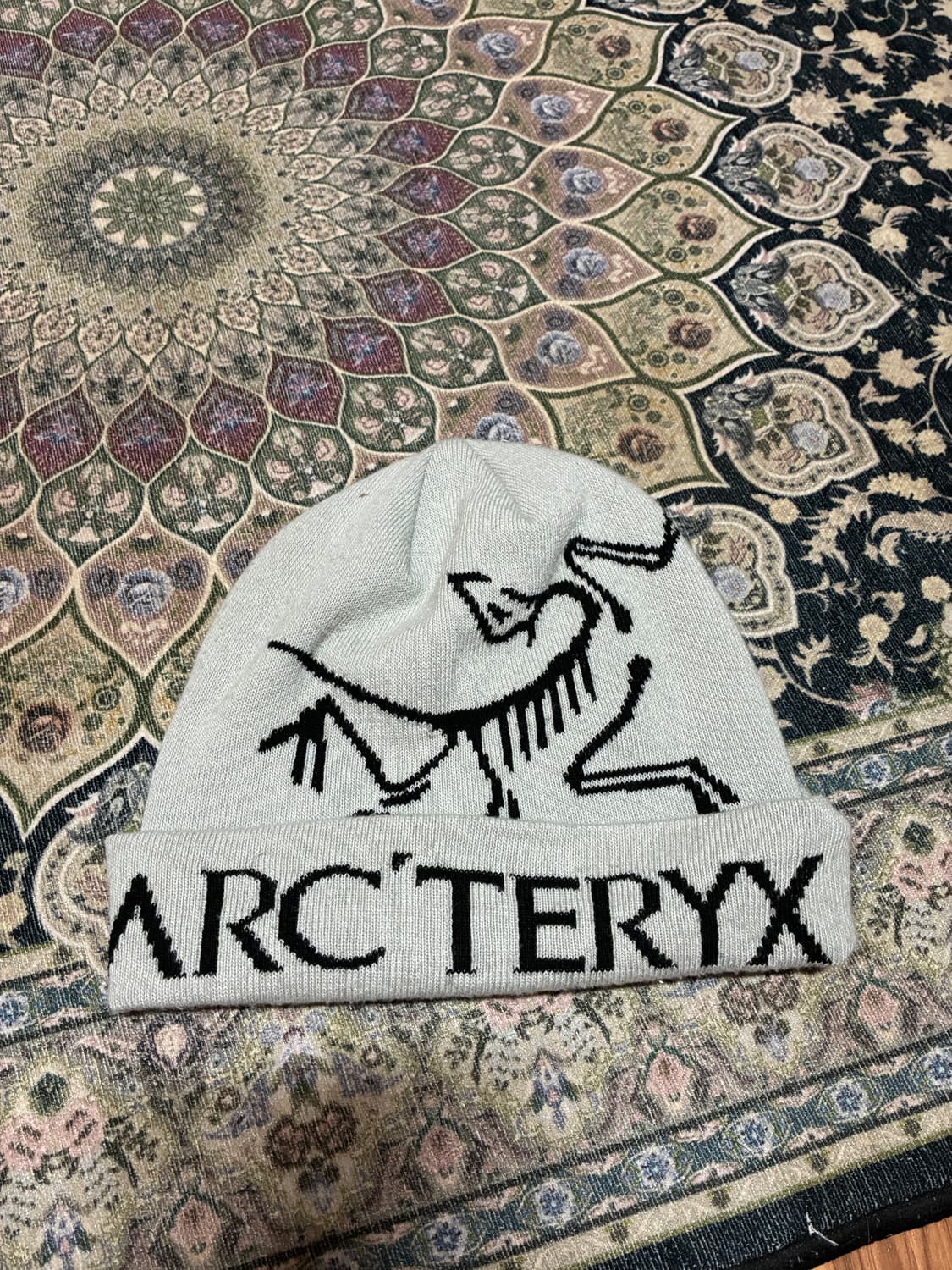 아크테릭스 비니 상품이미지2